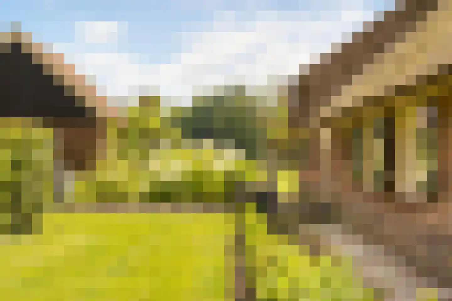 Mosselseweg 12 Vorden thumbnail 27