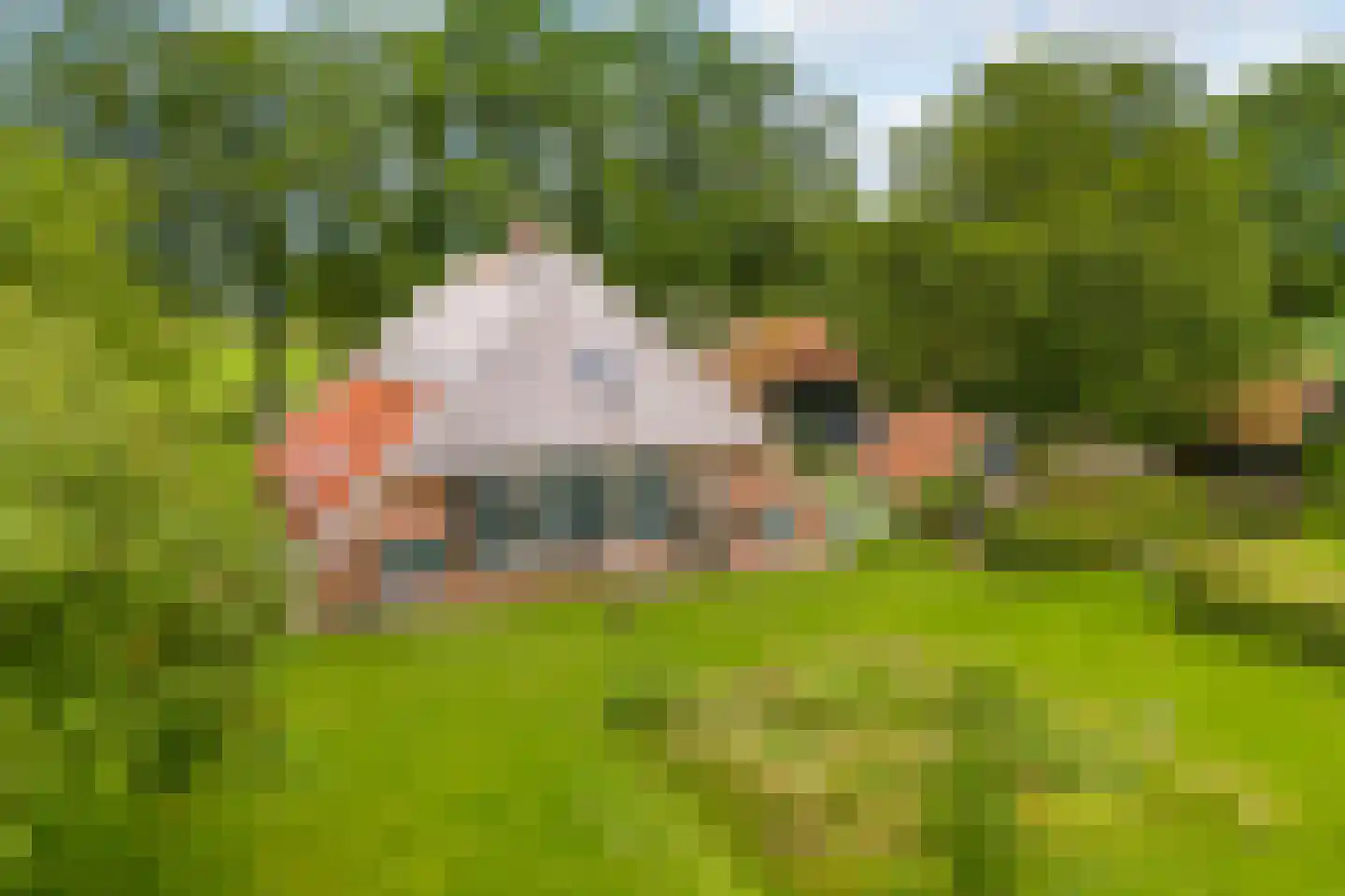 Mosselseweg 12 Vorden thumbnail 30