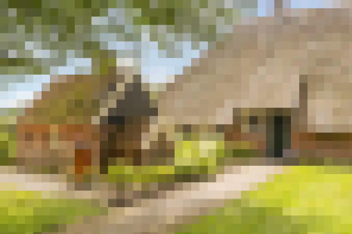 Mosselseweg 12 Vorden thumbnail 31