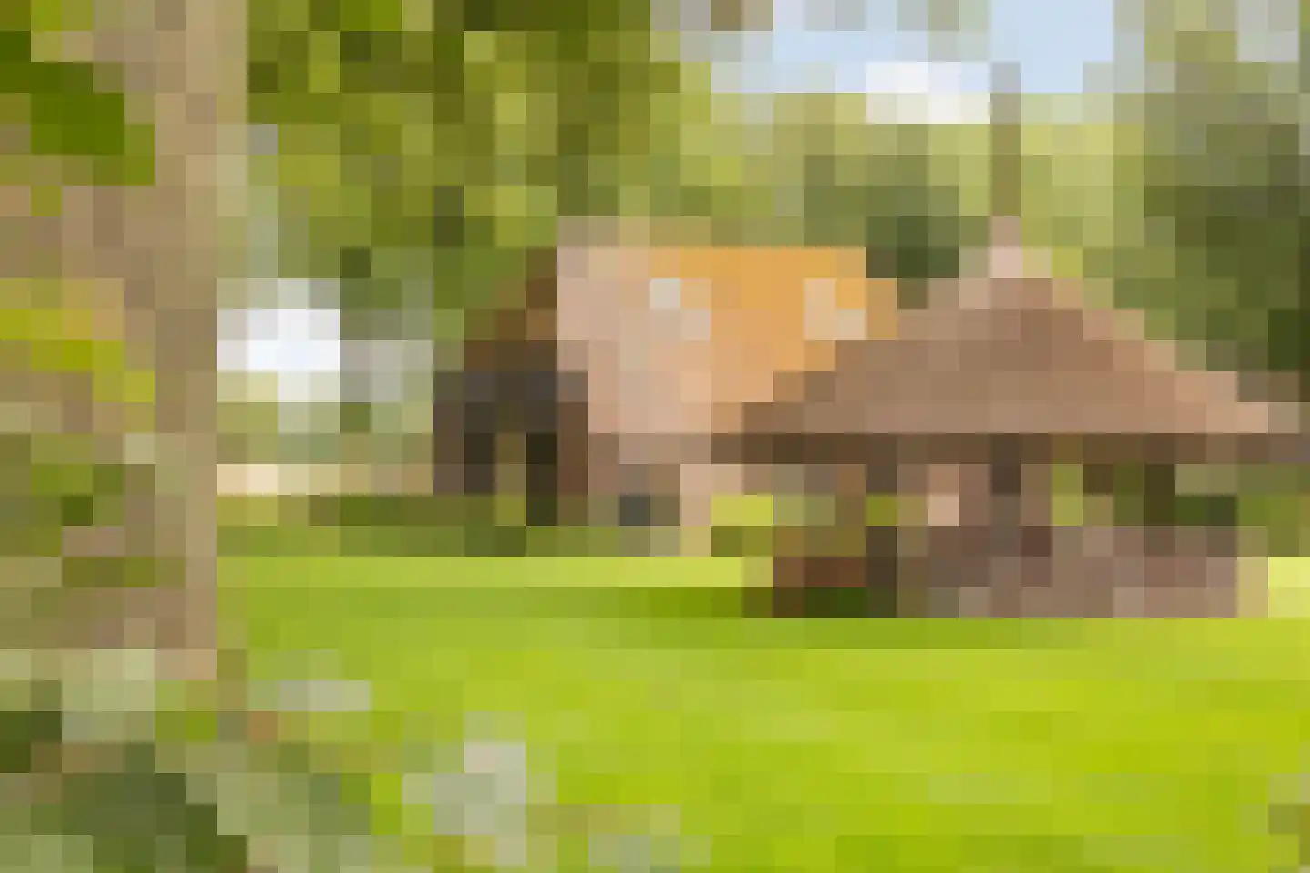 Mosselseweg 12 Vorden thumbnail 32