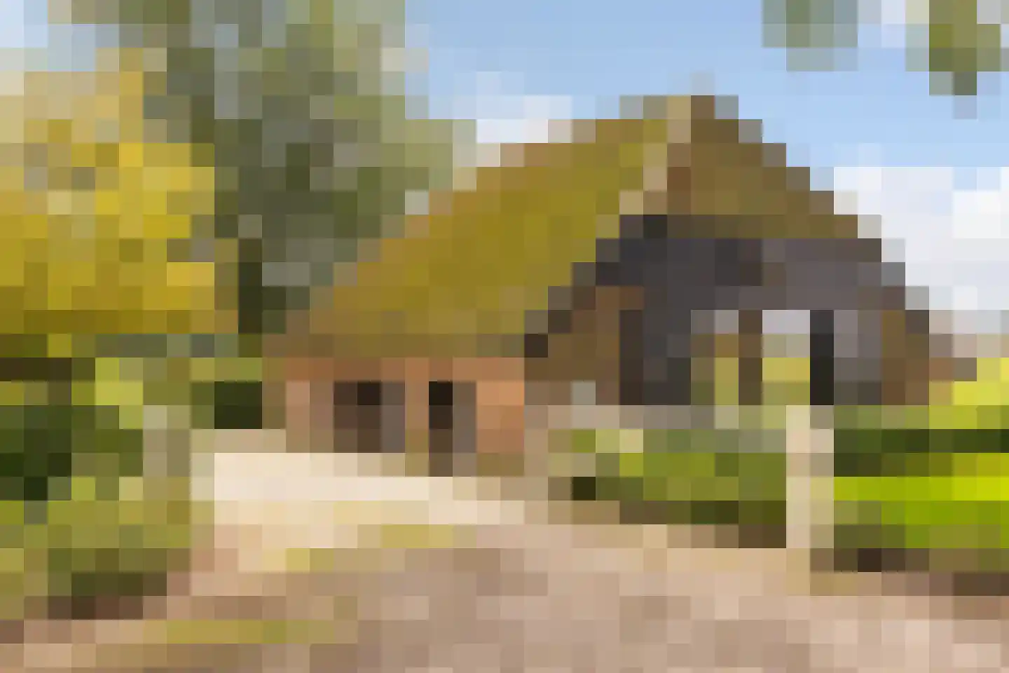 Mosselseweg 12 Vorden thumbnail 33