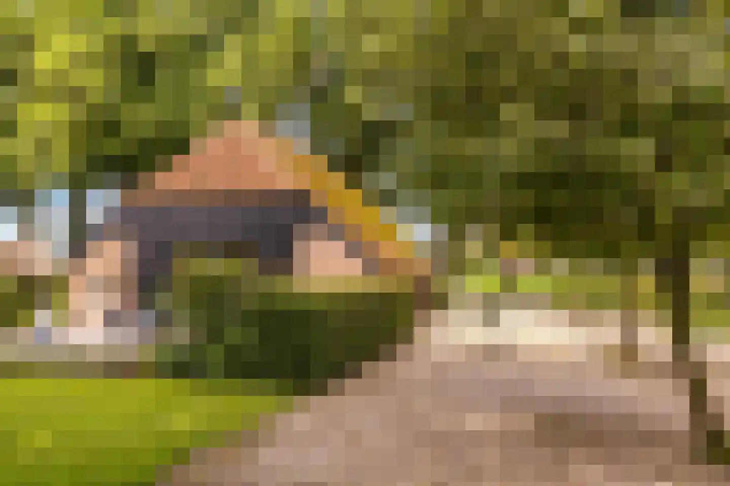 Mosselseweg 12 Vorden thumbnail 34