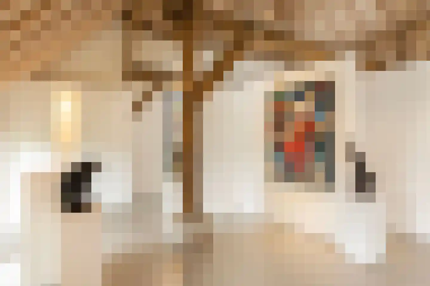 Mosselseweg 12 Vorden thumbnail 37
