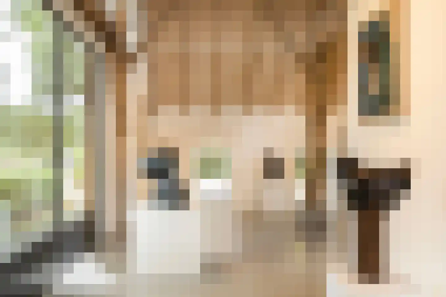 Mosselseweg 12 Vorden thumbnail 38