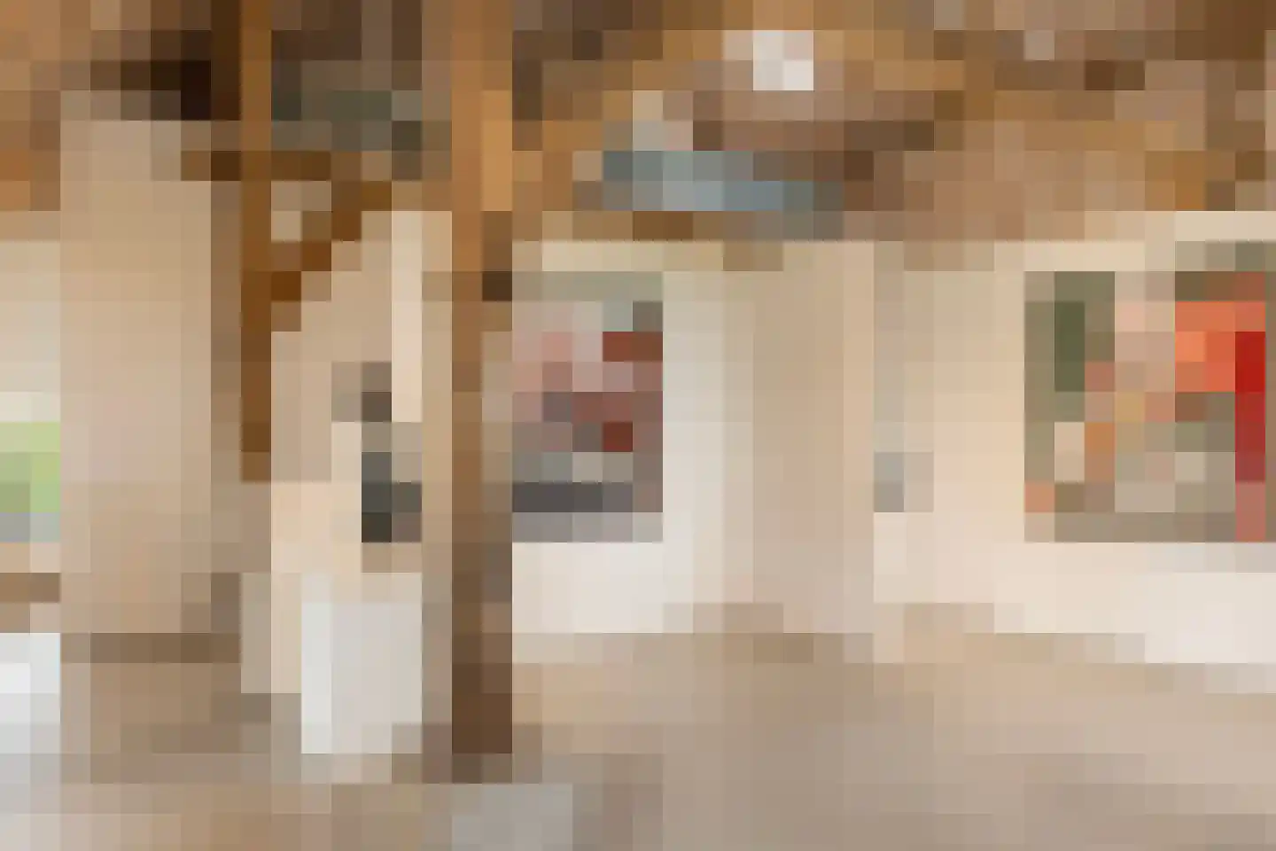Mosselseweg 12 Vorden thumbnail 39