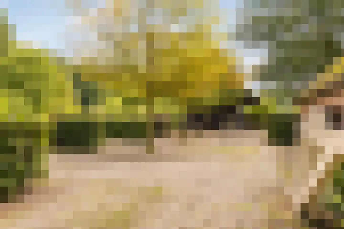 Mosselseweg 12 Vorden thumbnail 41
