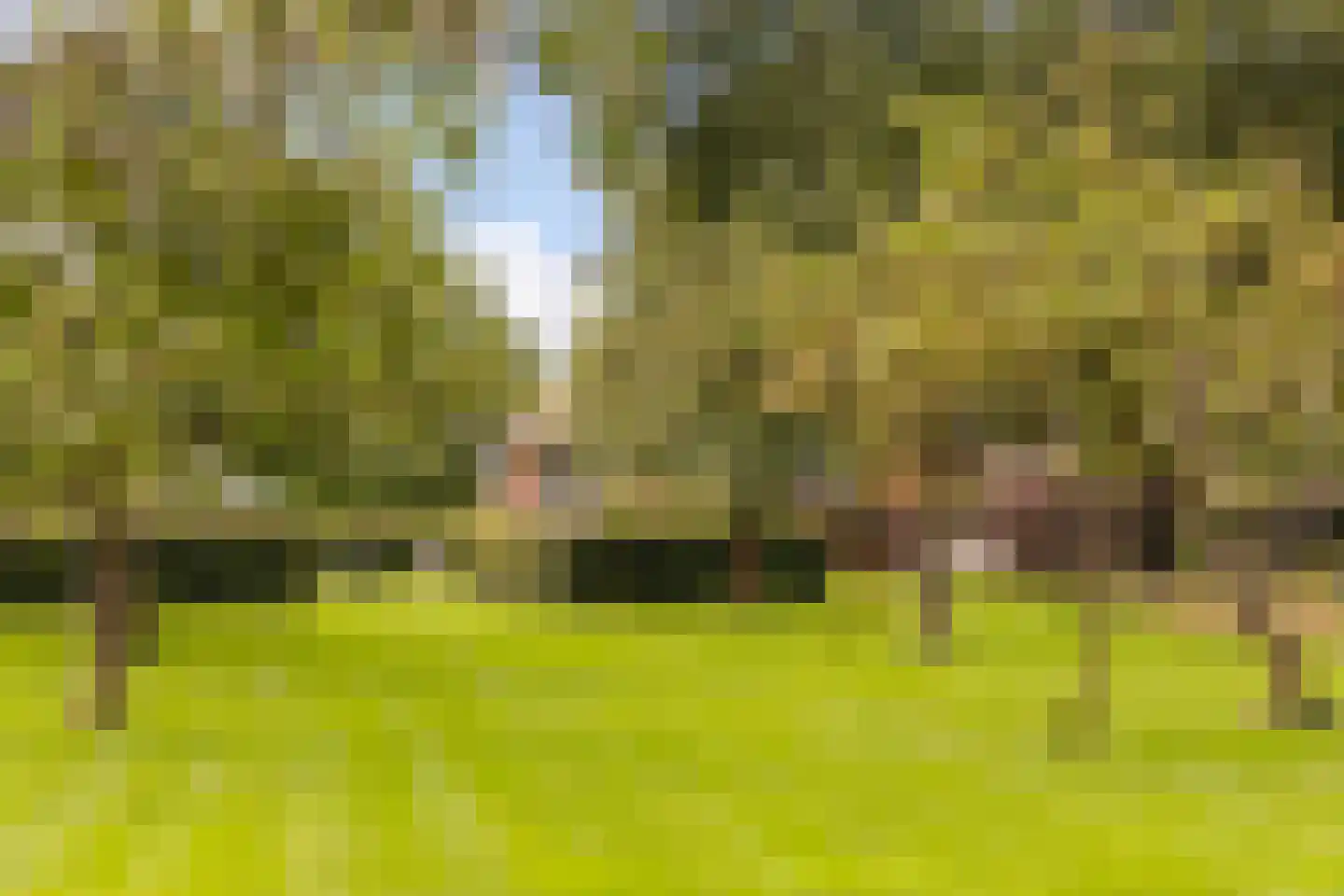 Mosselseweg 12 Vorden thumbnail 43