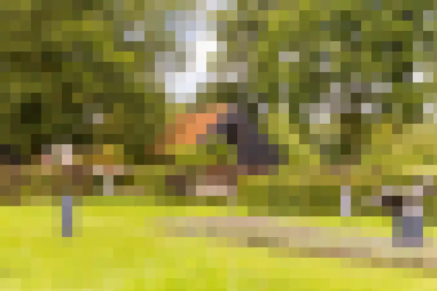 Mosselseweg 12 Vorden thumbnail 45