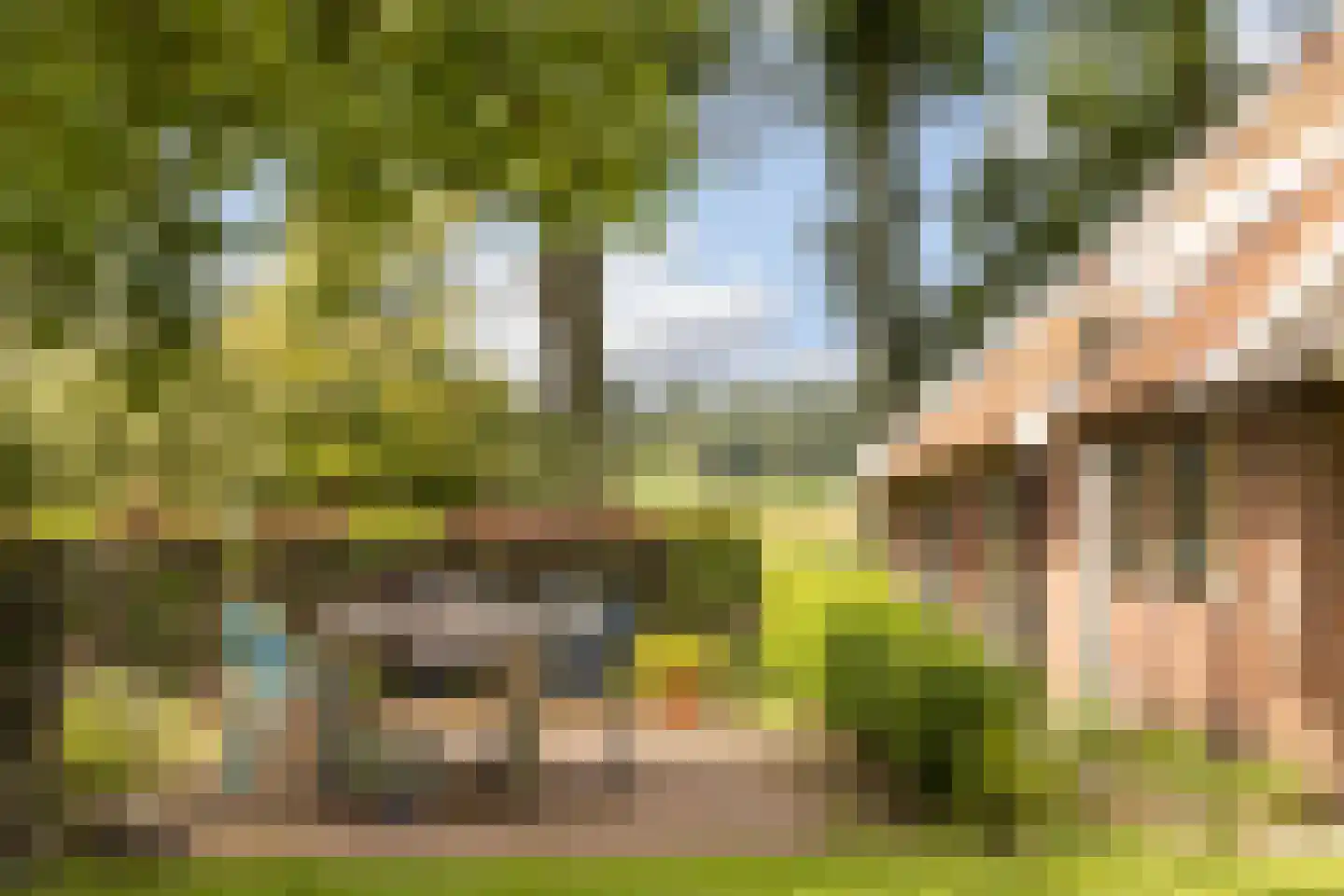 Mosselseweg 12 Vorden thumbnail 48