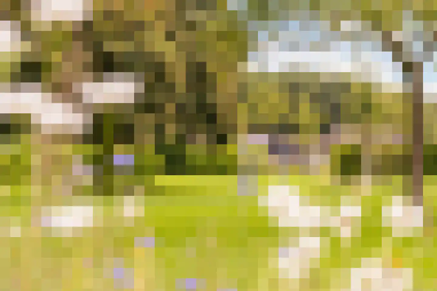 Mosselseweg 12 Vorden thumbnail 49