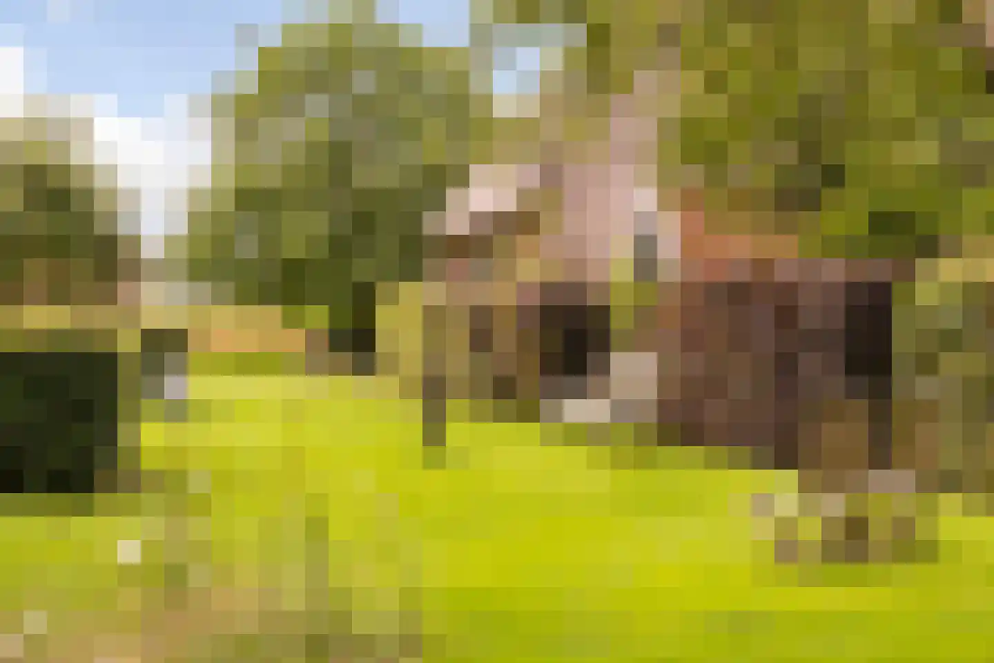 Mosselseweg 12 Vorden thumbnail 50