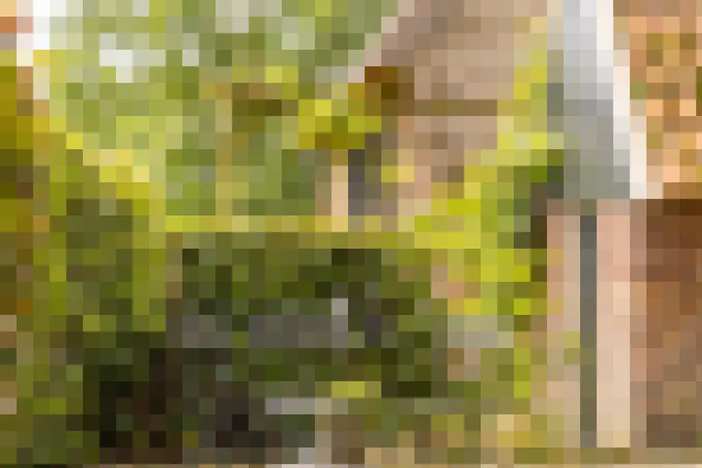 Mosselseweg 12 Vorden thumbnail 51