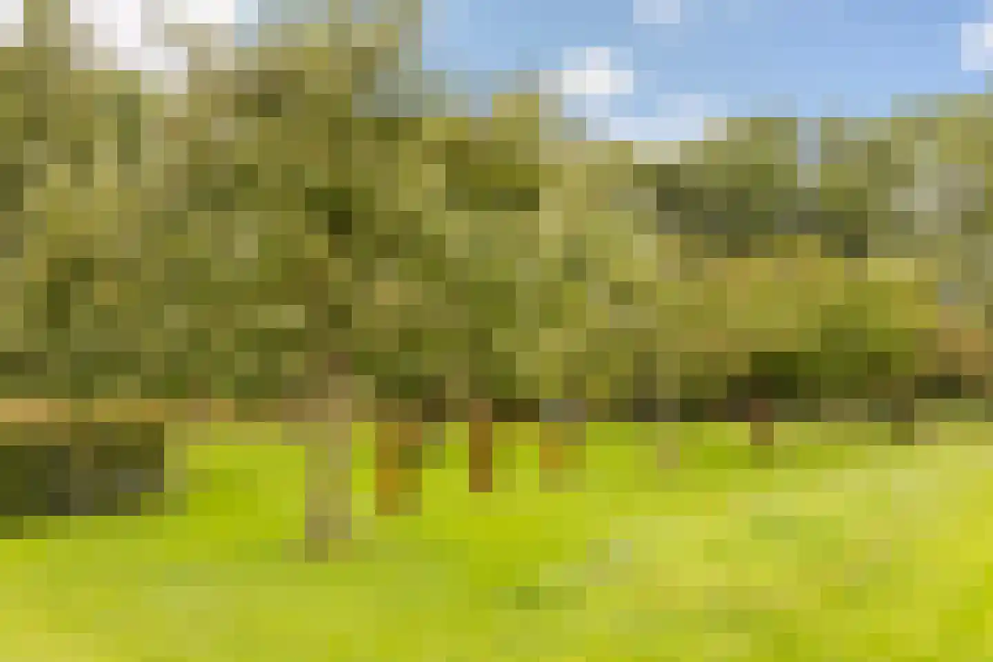 Mosselseweg 12 Vorden thumbnail 52