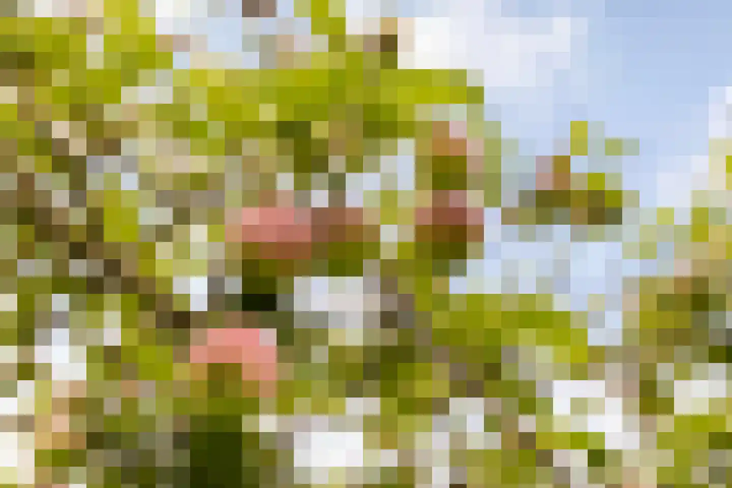 Mosselseweg 12 Vorden thumbnail 53