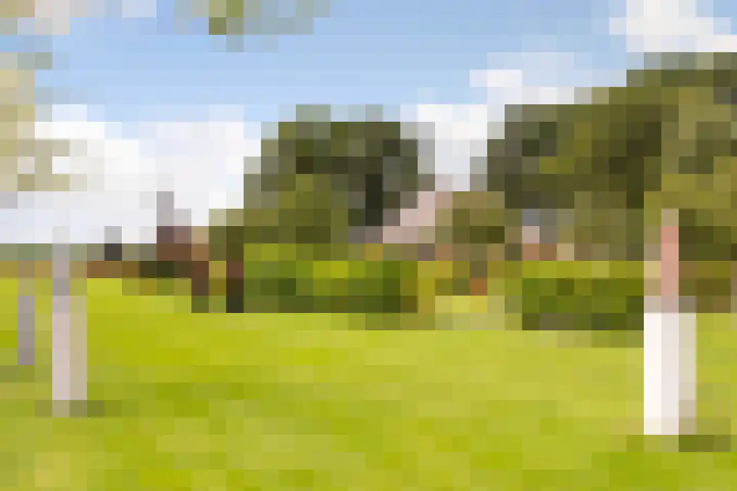Mosselseweg 12 Vorden thumbnail 54