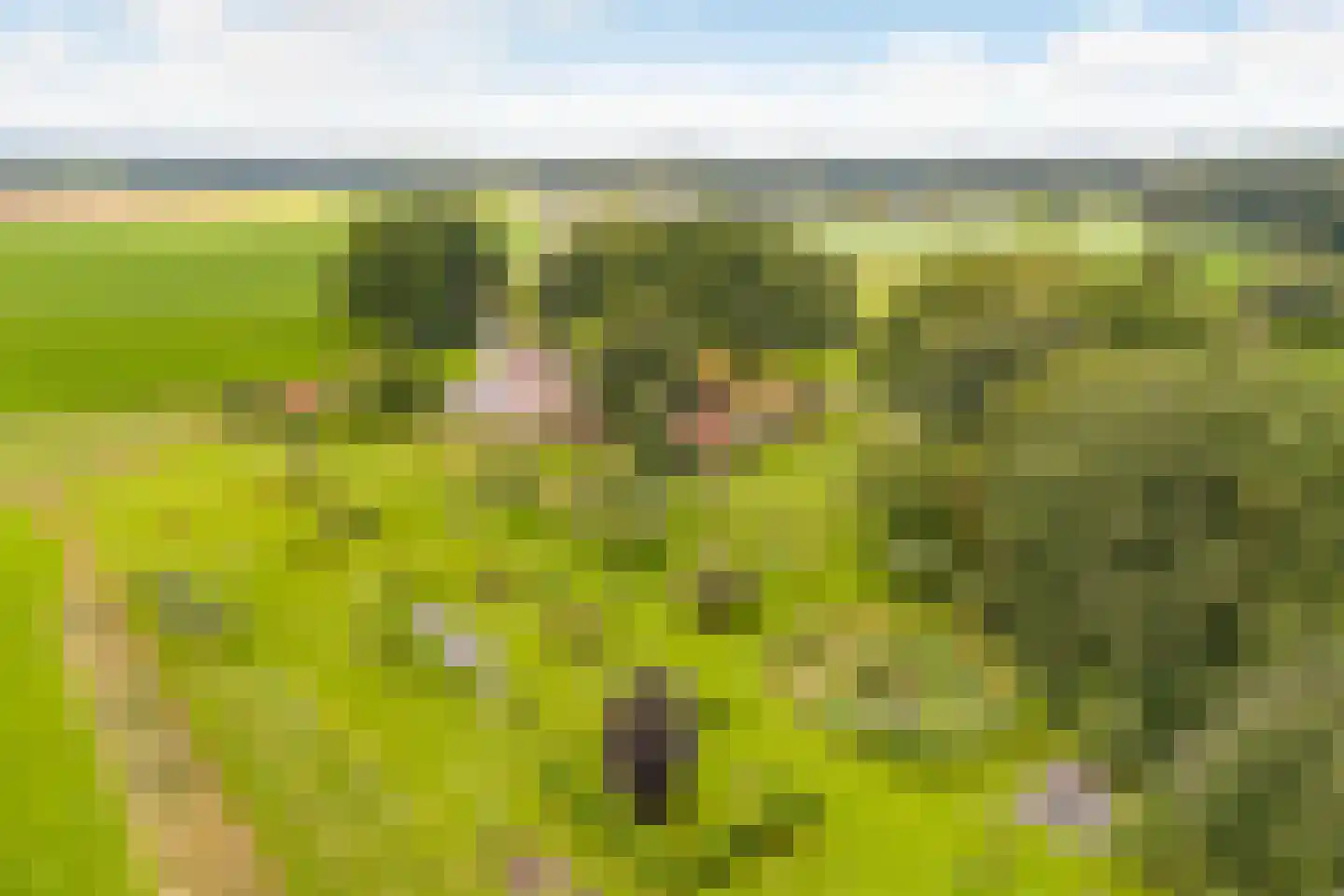 Mosselseweg 12 Vorden thumbnail 55