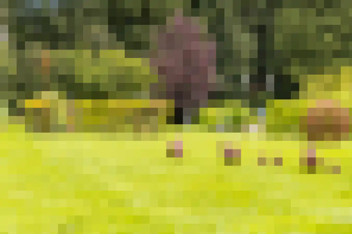 Mosselseweg 12 Vorden thumbnail 56