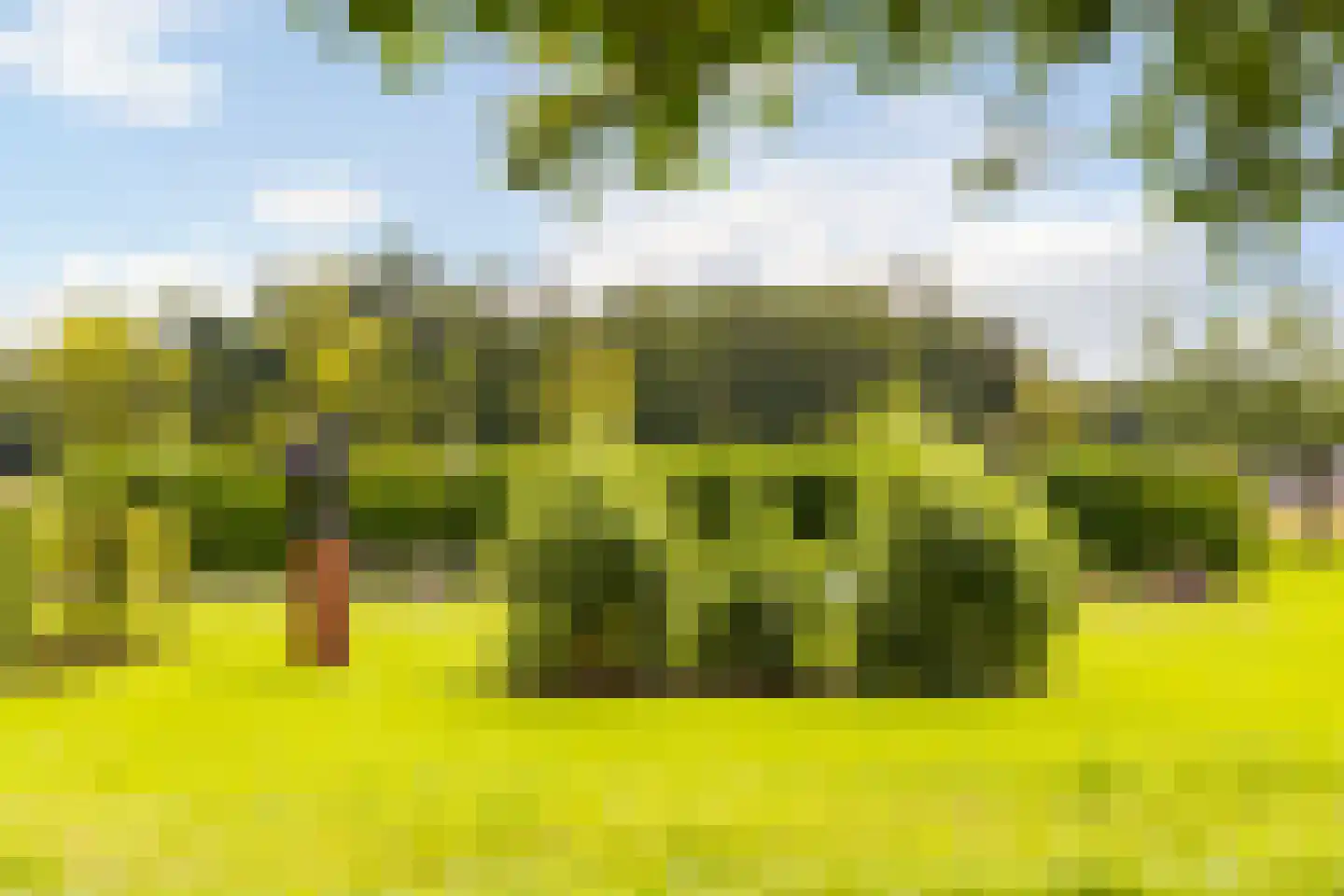 Mosselseweg 12 Vorden thumbnail 57