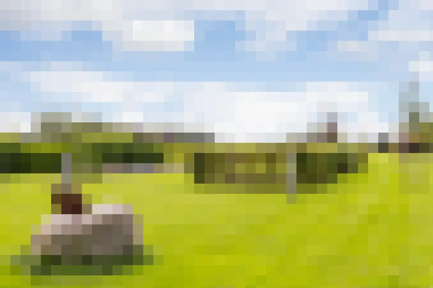 Mosselseweg 12 Vorden thumbnail 58