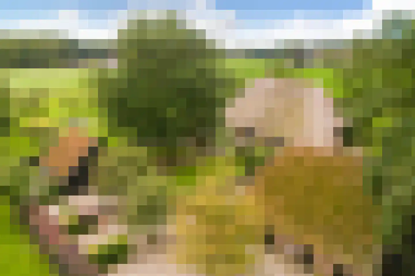 Mosselseweg 12 Vorden thumbnail 59