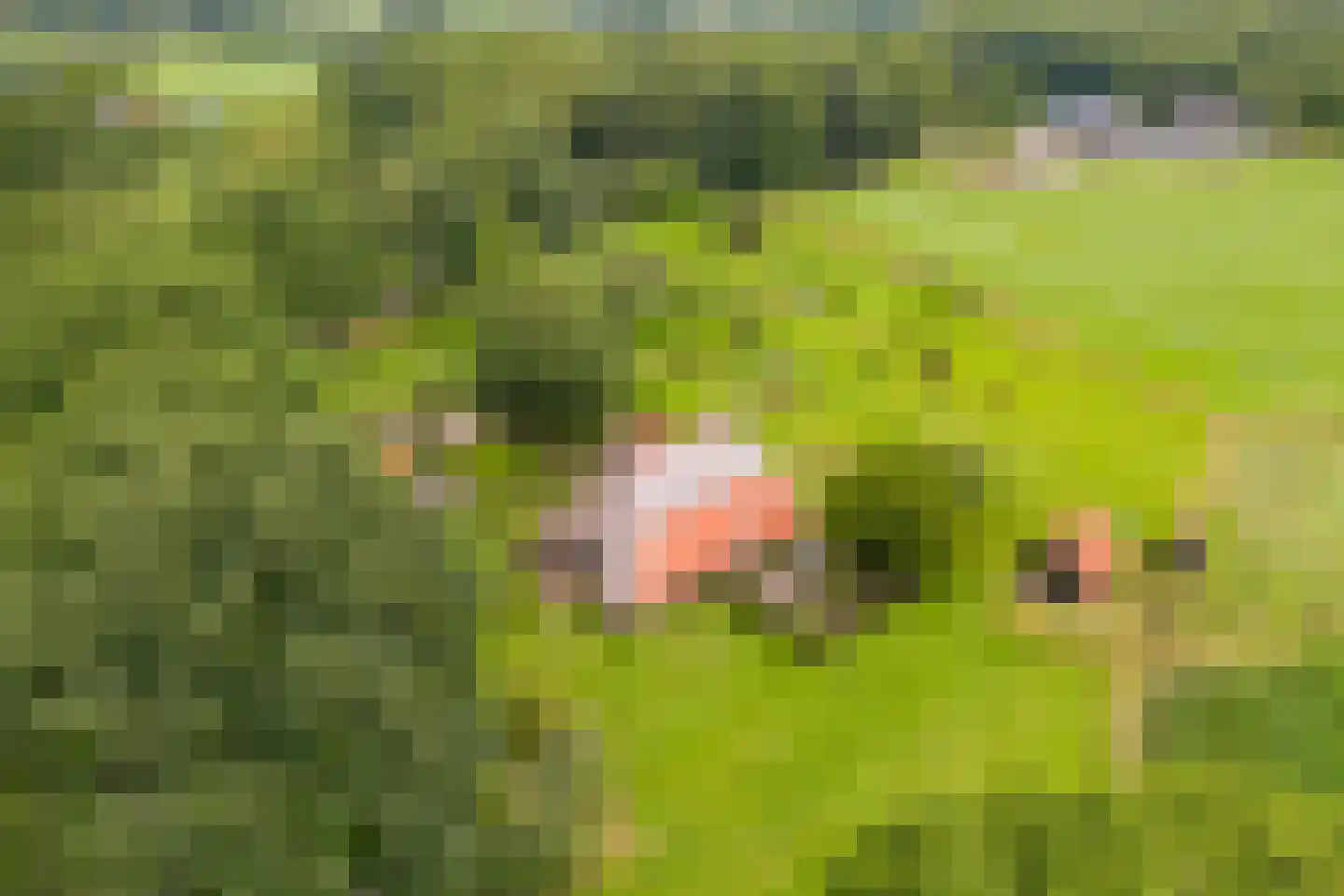 Mosselseweg 12 Vorden thumbnail 60