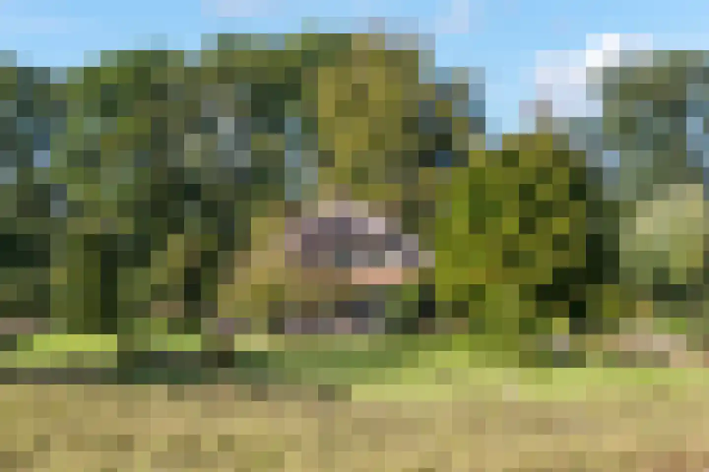 Mosselseweg 20 Vorden