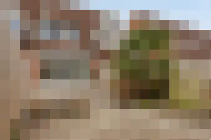 Mosselstraat 29 Almere thumbnail 5
