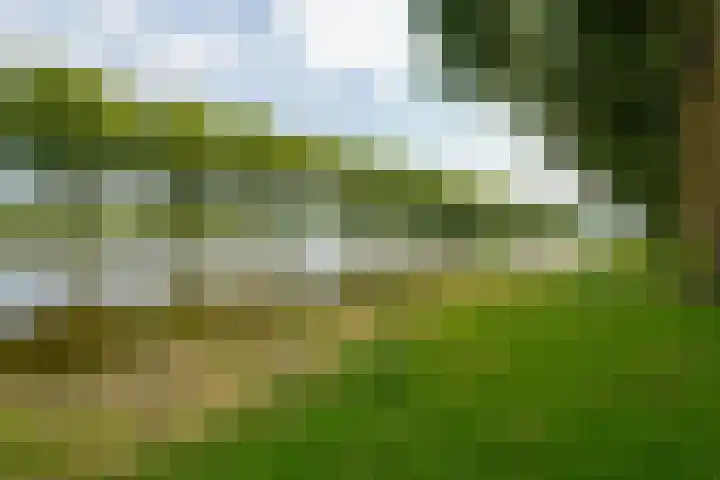 Mosselstraat 43 Almere thumbnail 33