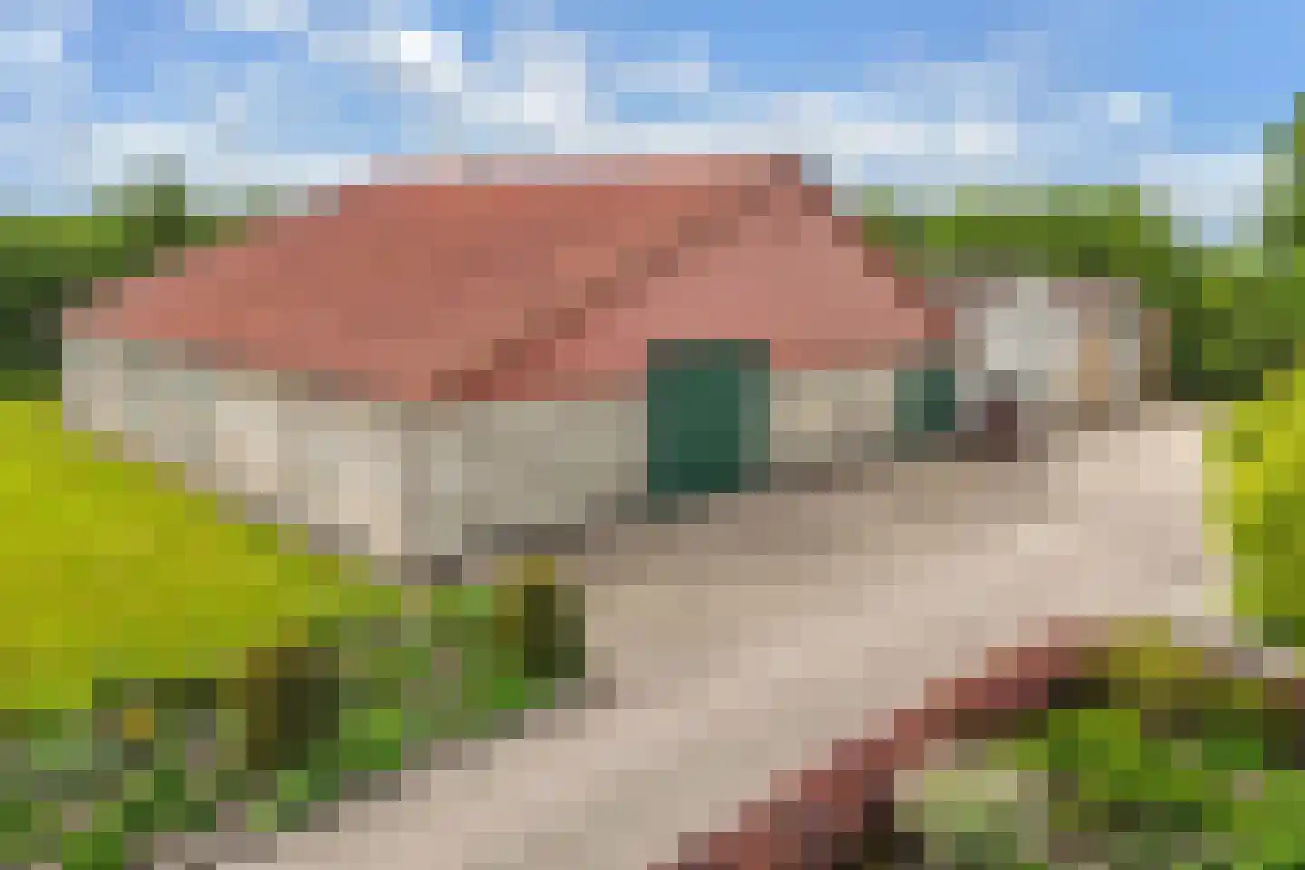 Mosselweg 4 Biddinghuizen thumbnail 10