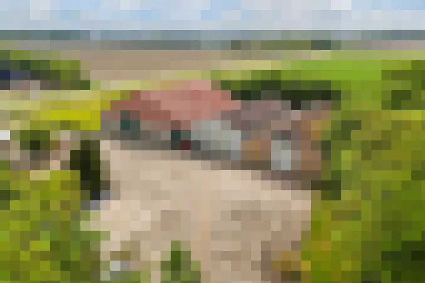 Mosselweg 4 Biddinghuizen thumbnail 11