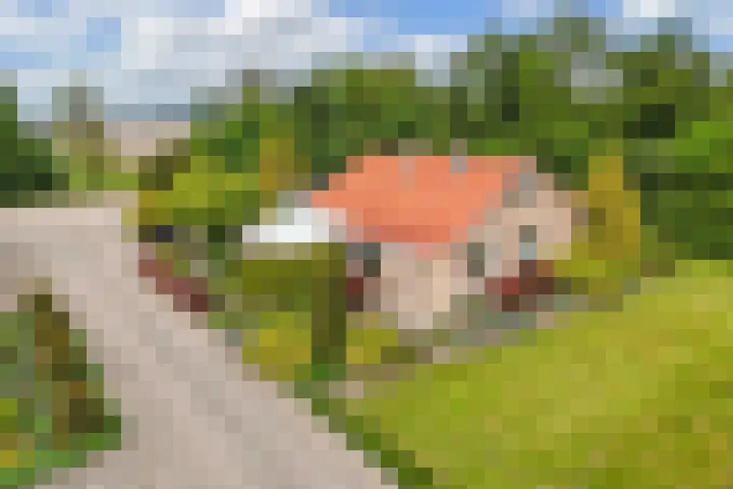 Mosselweg 4 Biddinghuizen thumbnail 12