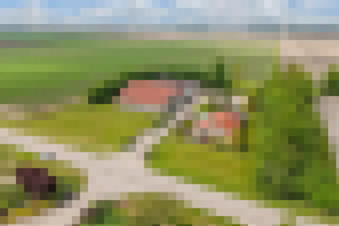Mosselweg 4 Biddinghuizen thumbnail 13