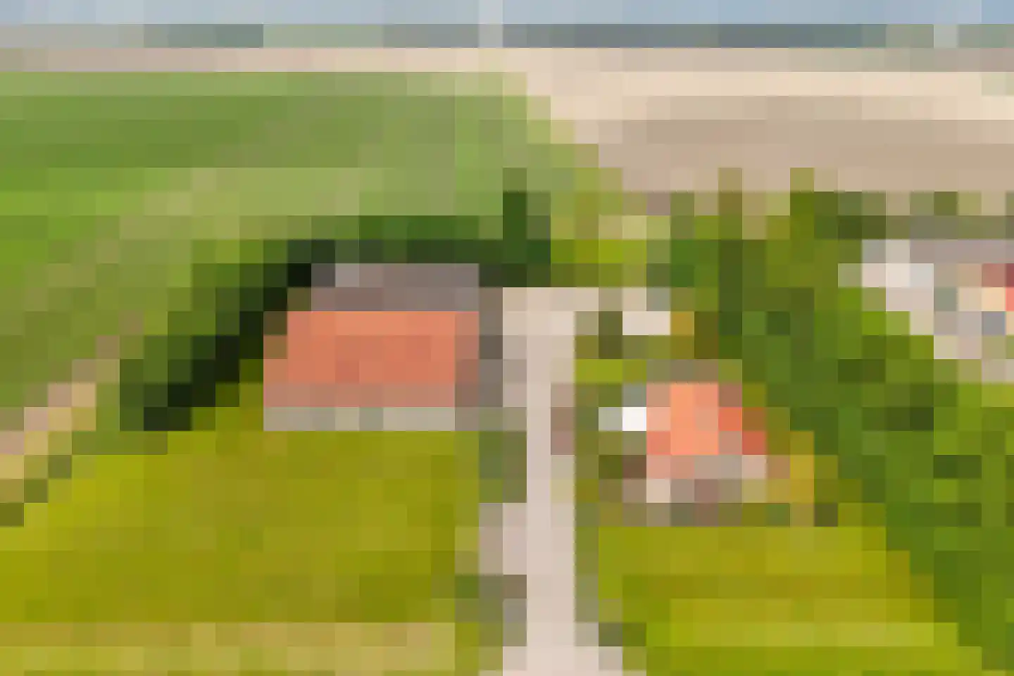 Mosselweg 4 Biddinghuizen thumbnail 15