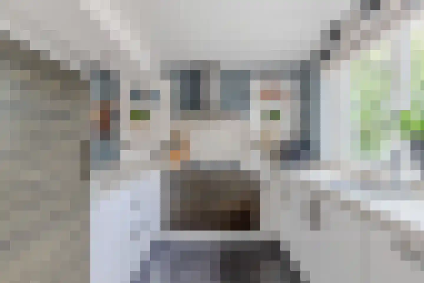 Mosselweg 4 Biddinghuizen thumbnail 26