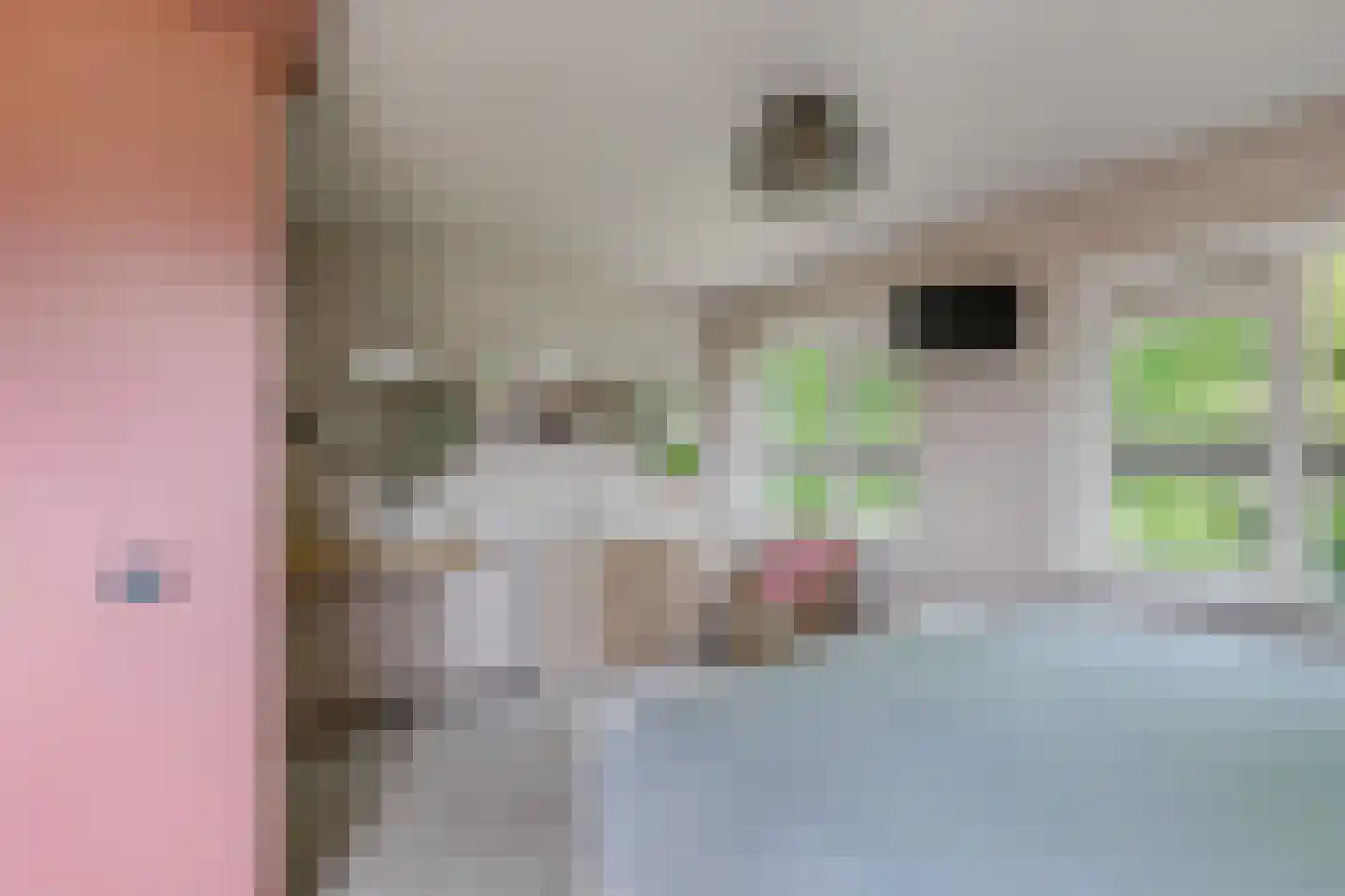 Mosselweg 4 Biddinghuizen thumbnail 36