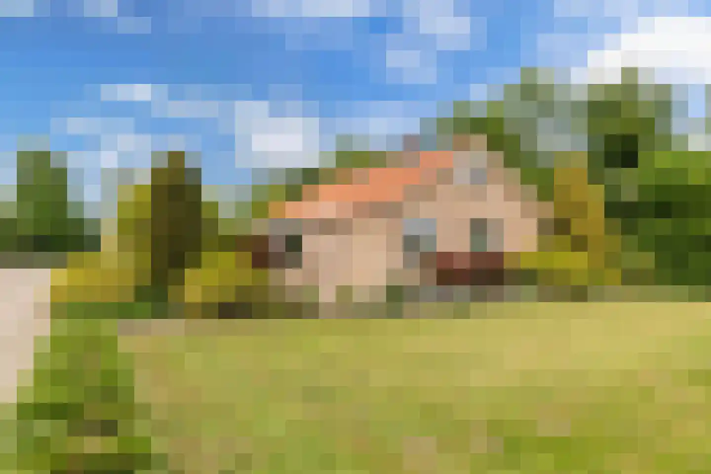 Mosselweg 4 Biddinghuizen thumbnail 4