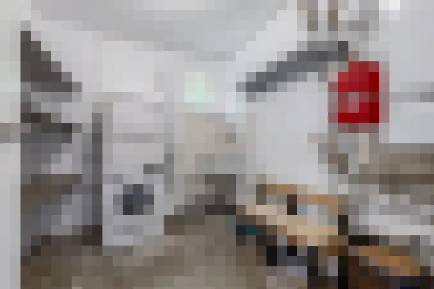 Mosselweg 4 Biddinghuizen thumbnail 41