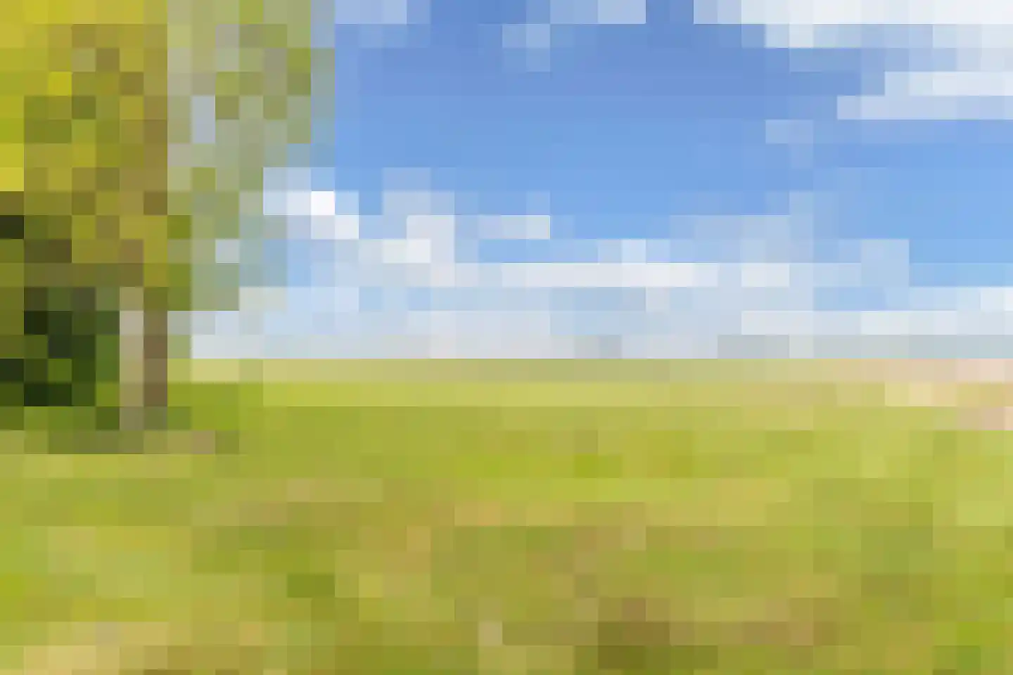 Mosselweg 4 Biddinghuizen thumbnail 64