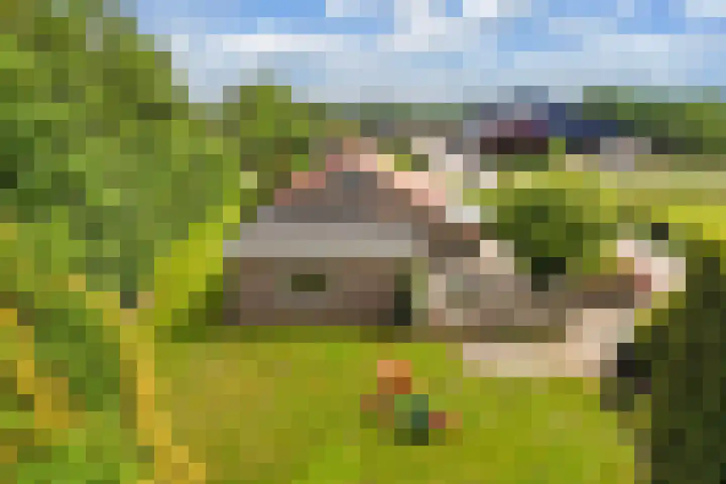Mosselweg 4 Biddinghuizen thumbnail 65