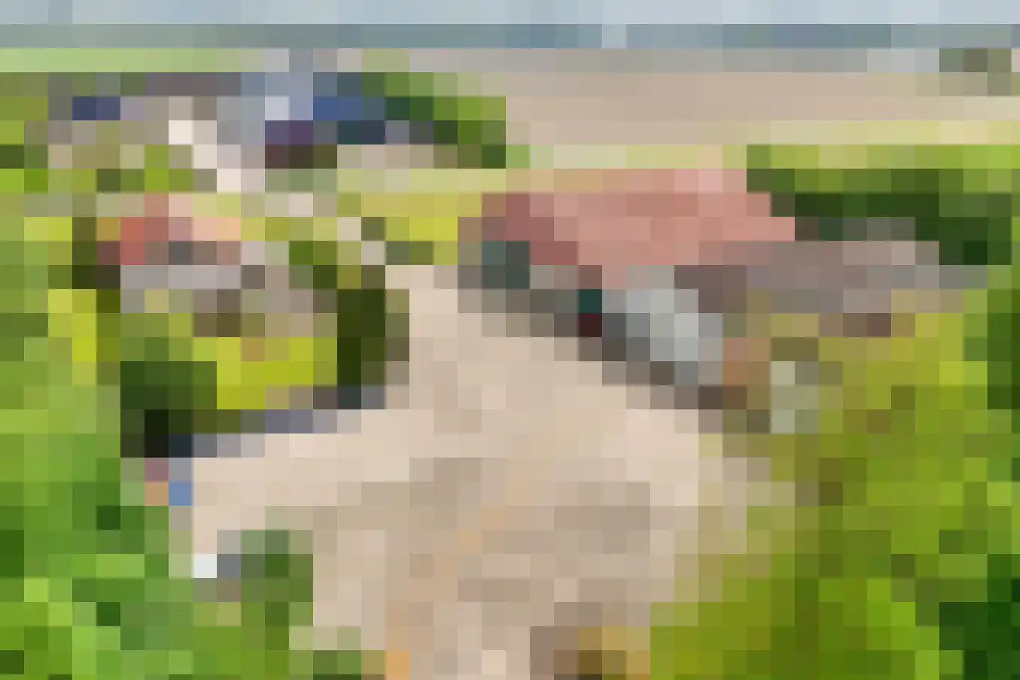 Mosselweg 4 Biddinghuizen thumbnail 66