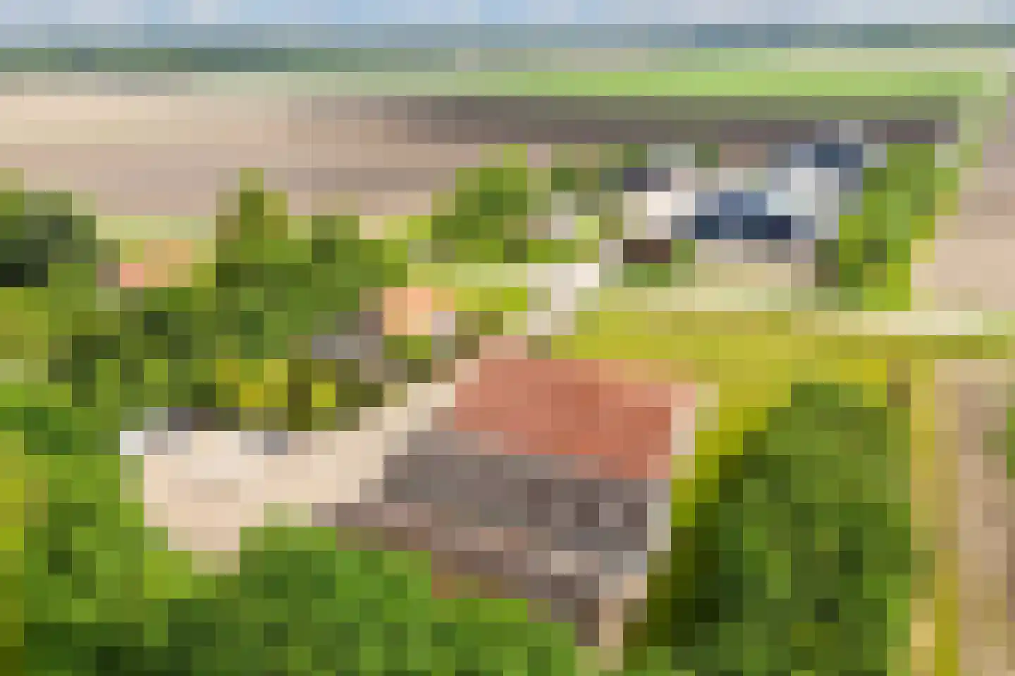 Mosselweg 4 Biddinghuizen thumbnail 67