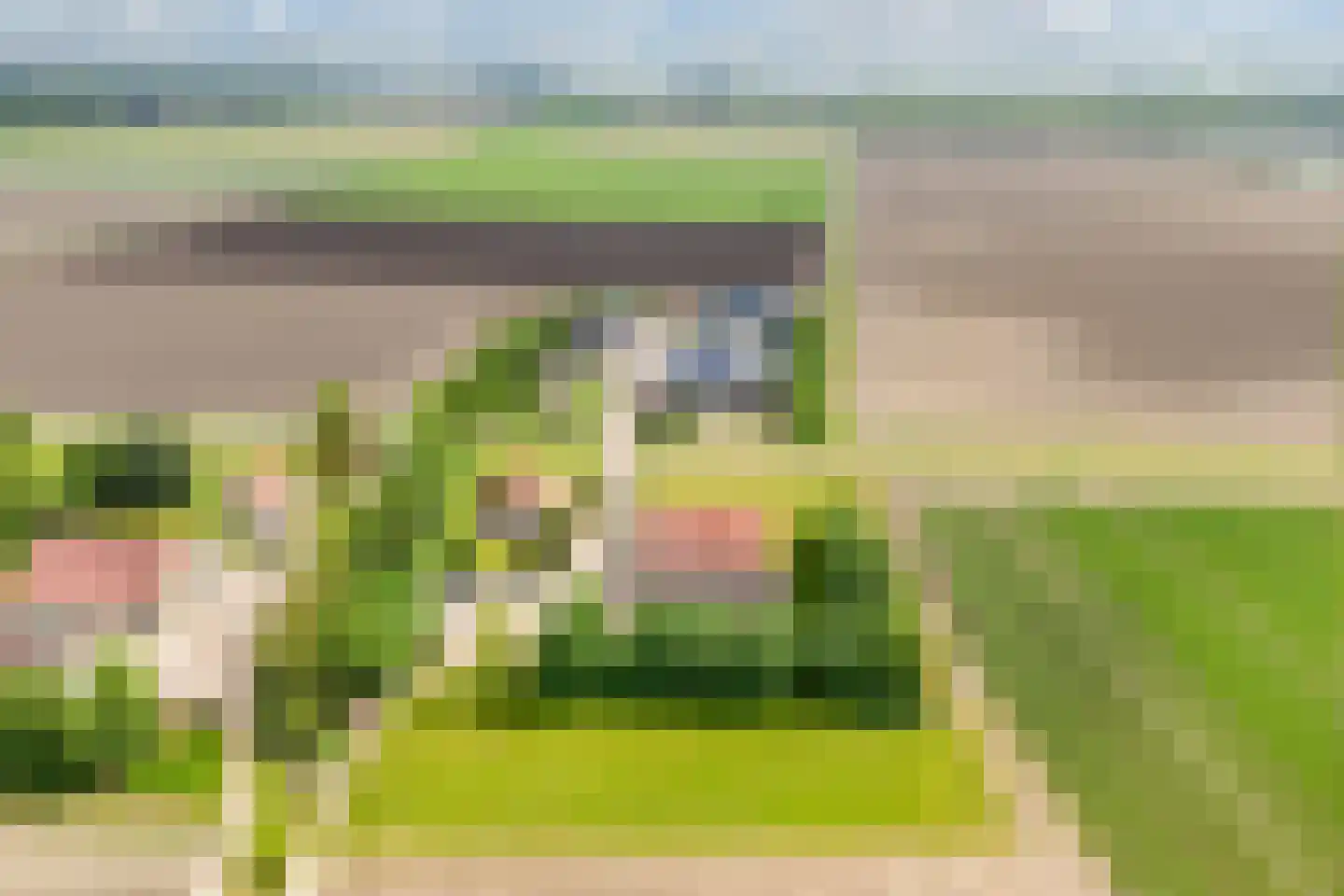 Mosselweg 4 Biddinghuizen thumbnail 68