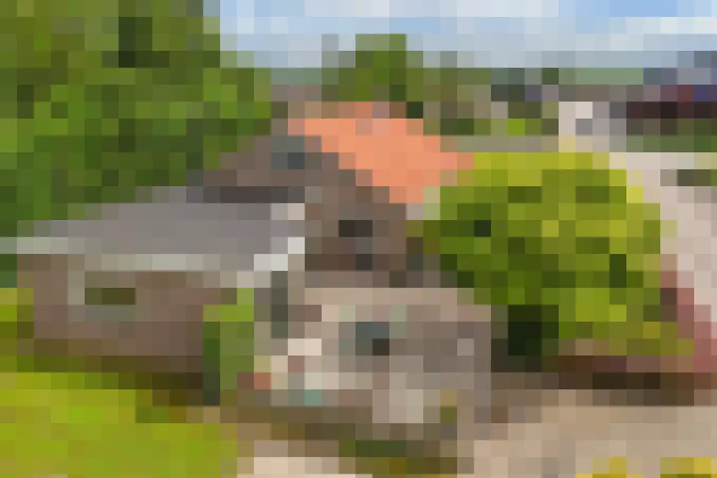 Mosselweg 4 Biddinghuizen thumbnail 9