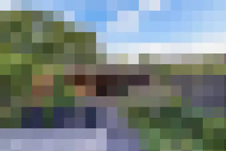 Mossenmeent 10 Hilversum thumbnail 18
