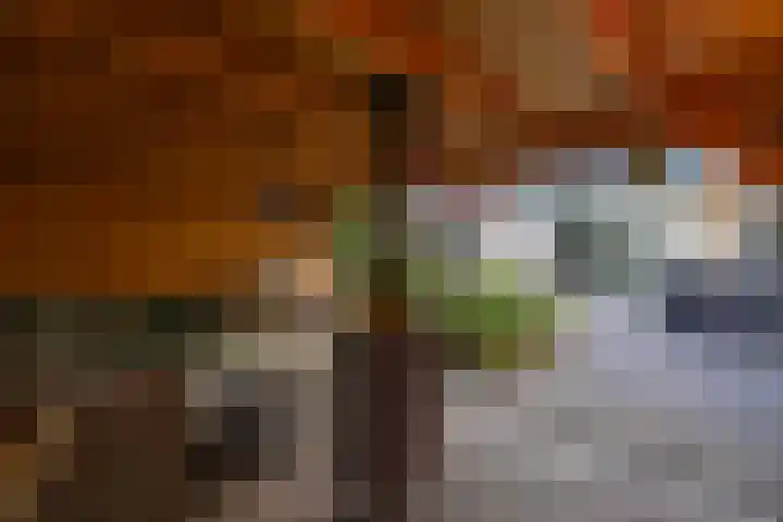 Mossenmeent 10 Hilversum thumbnail 21