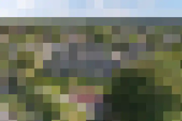 Mossenmeent 10 Hilversum thumbnail 23