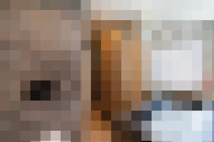 Mossenmeent 10 Hilversum thumbnail 31