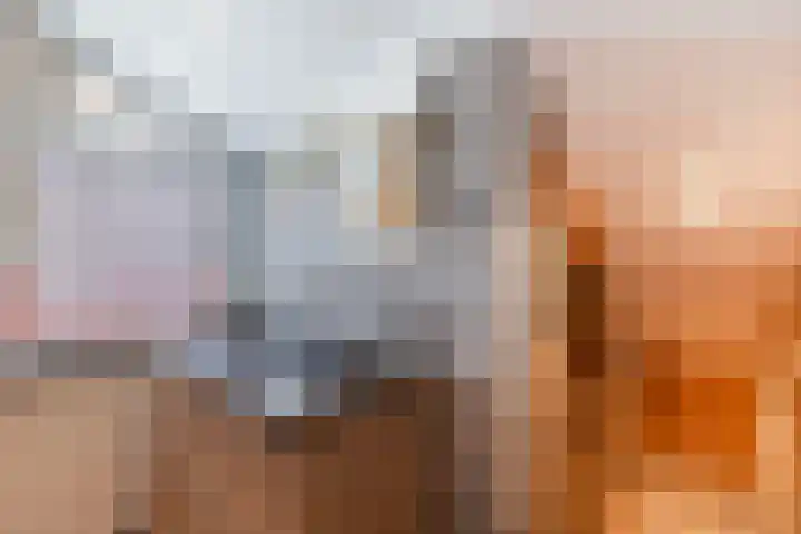 Mossenmeent 10 Hilversum thumbnail 32
