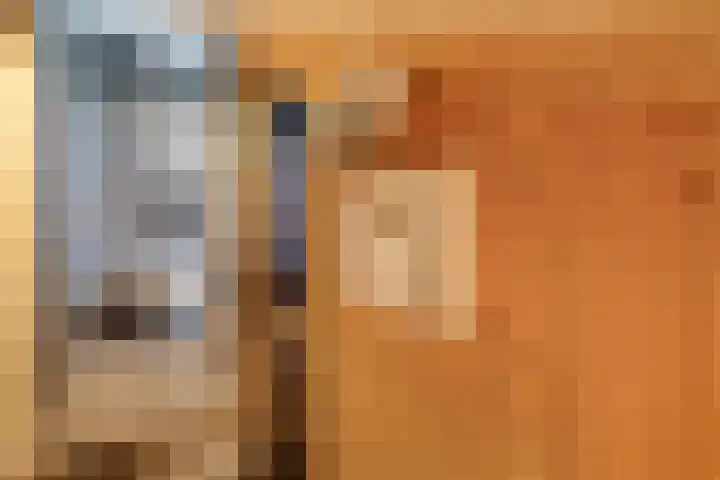 Mossenmeent 10 Hilversum thumbnail 33
