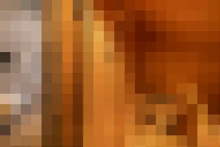 Mossenmeent 10 Hilversum thumbnail 34